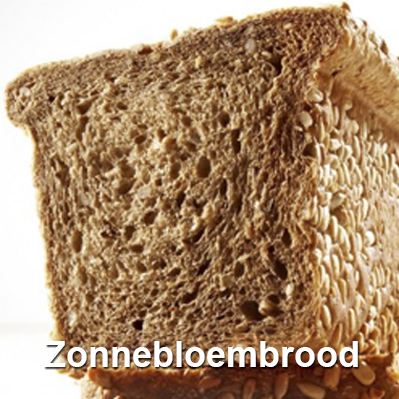 Zonnebloem